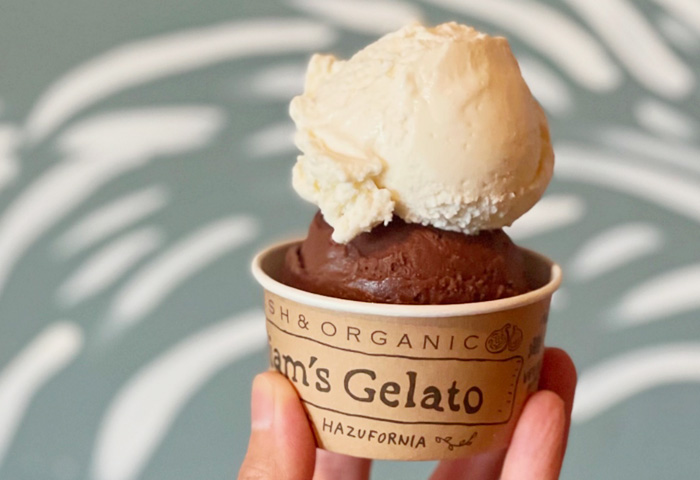 3枚のダミー画像左